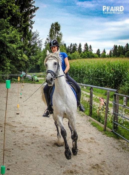 einfacher-slalom-2.jpg einfacher-slalom-2.jpg