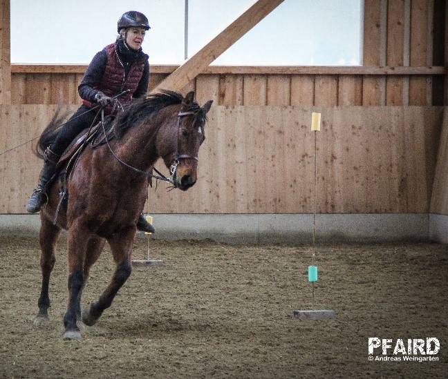 parallelslalom-2.jpg parallelslalom-2.jpg