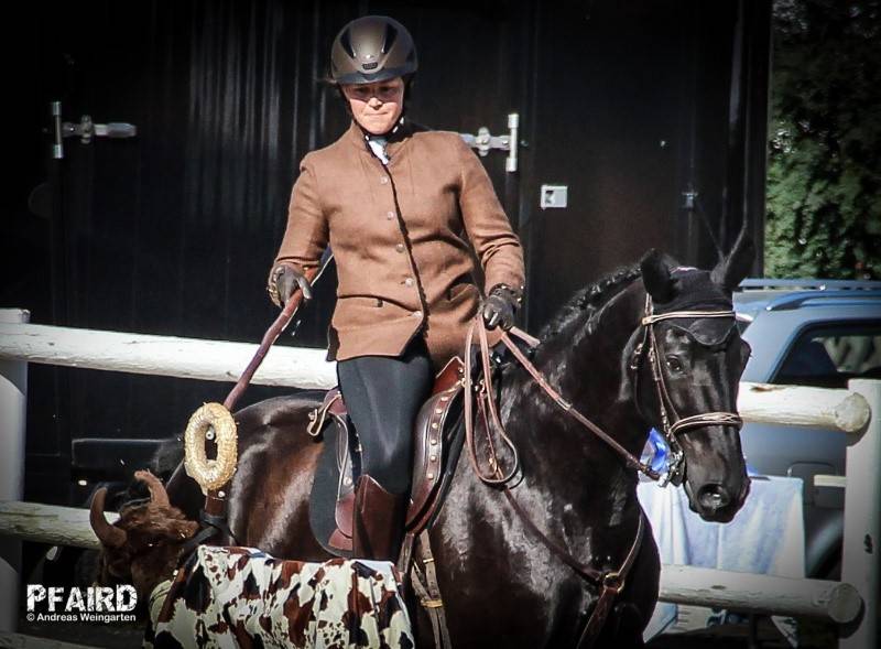 ringstechen-2.jpg ringstechen-2.jpg