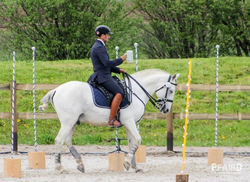 rueckwaertsslalom.jpg rueckwaertsslalom.jpg