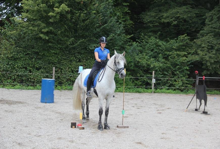 umsetzen-2.jpg umsetzen-2.jpg