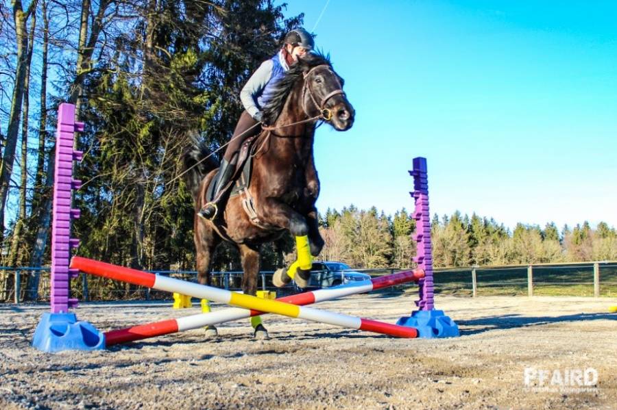 sprung-2.jpg sprung-2.jpg