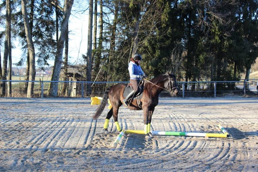 sidepass-2.jpg sidepass-2.jpg