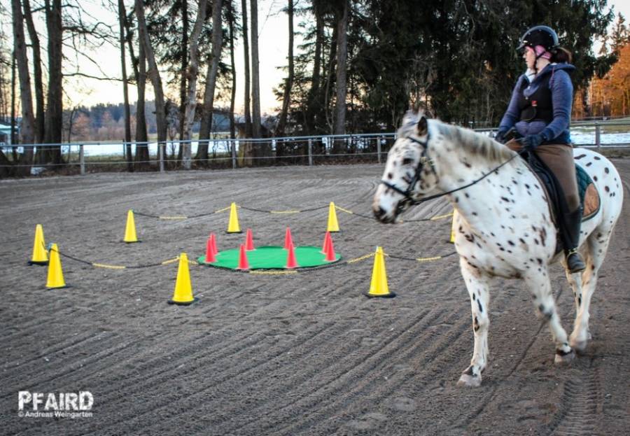 pferch.jpg pferch.jpg